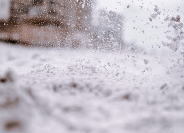 courtney-chestnut-OxpxgR0cKc8-unsplash